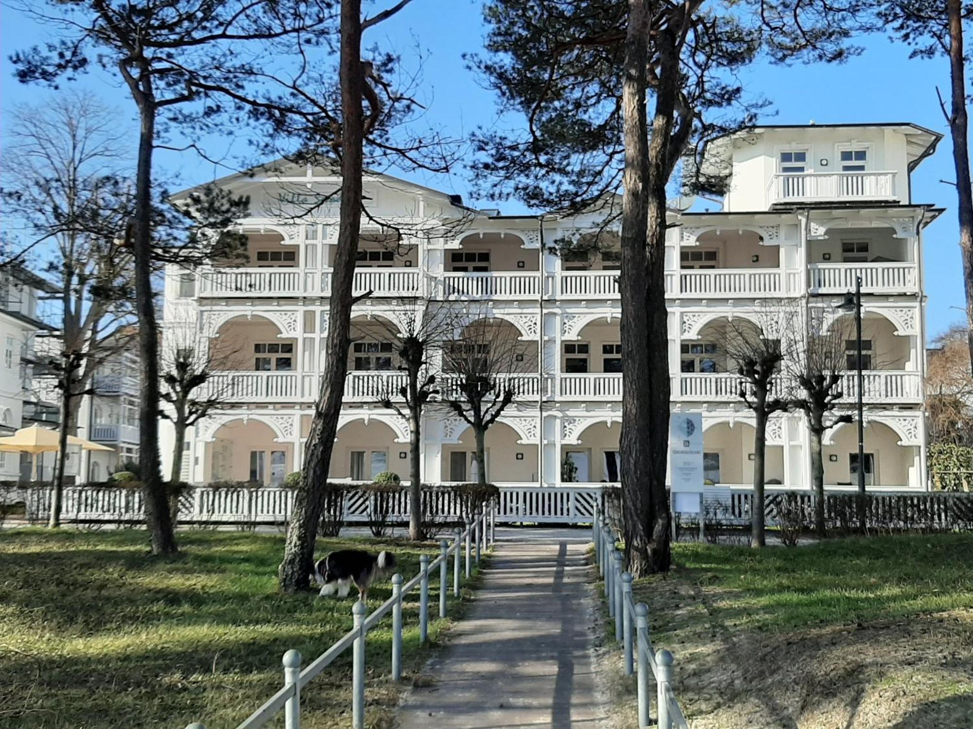 Ferienwohnung Ostseeblick In Der Villa Seeadler Остзебад Бинц Экстерьер фото